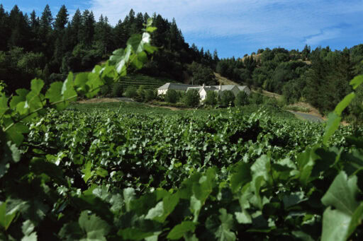 June in Wine Country